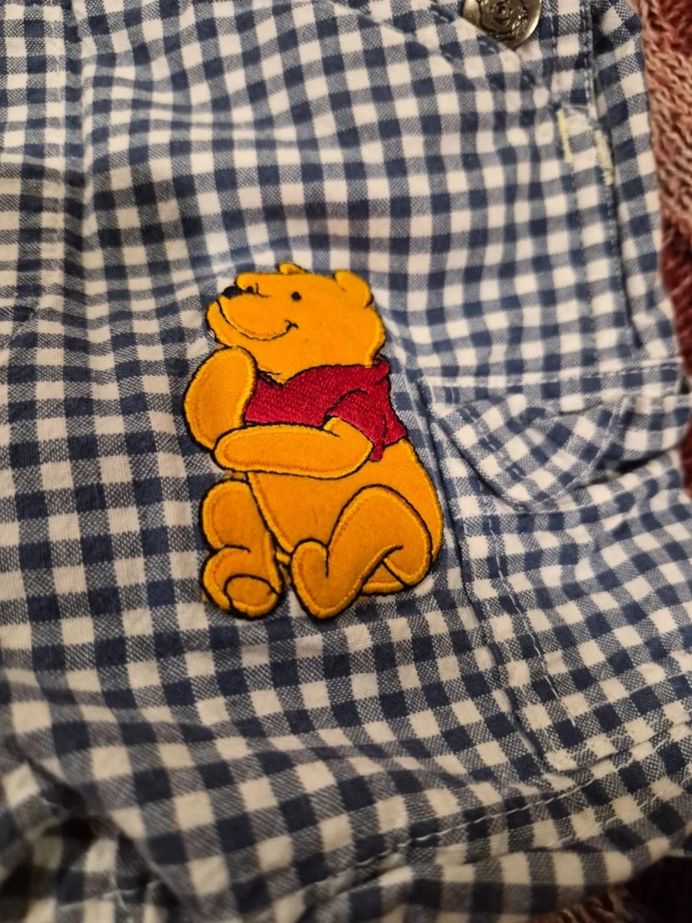 Vintage Disney Pooh 100 Acre Collection Baby Boy Shortalls & Bodysuit Set